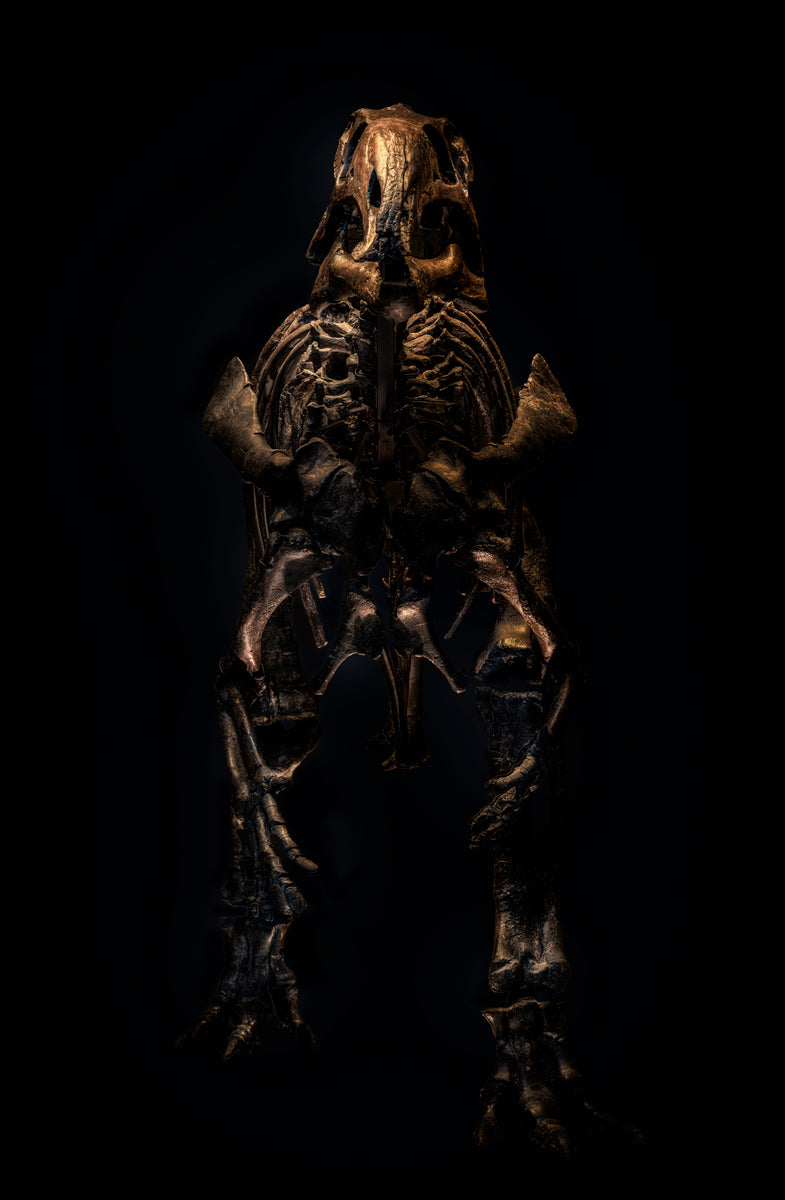 Mantellisaurus Atherfieldensis by Christian Voigt, limited edition photography