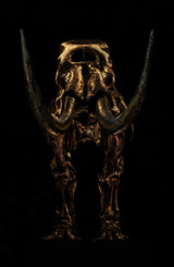 Mastodon