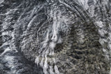 Pangea 05814