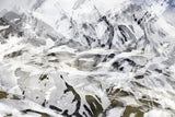 Pangea 0814