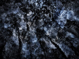 Primary Forest I 13173