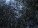 Primary Forest II 7684