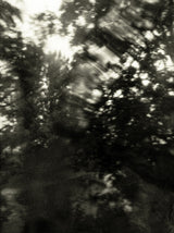 Seestück #6, Lake of Zurich