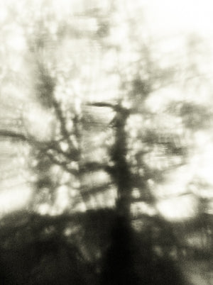 Seestück #8, Lake of Zurich