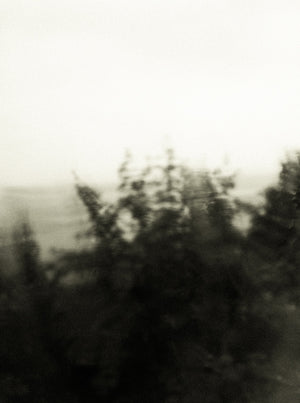 Seestück #9, Lake of Zurich