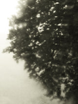 Seestück #16, Lake of Zurich