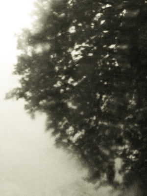 Seestück #16, Lake of Zurich