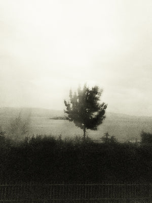 Seestück #19, Lake of Zurich