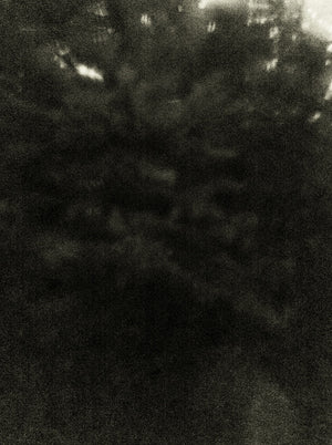 Seestück #20, Lake of Zurich