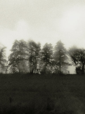 Seestück #27, Lake of Zurich