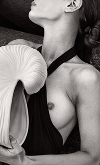 Seashell