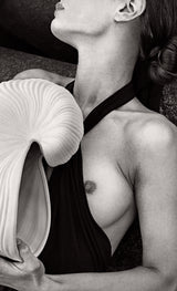 Seashell