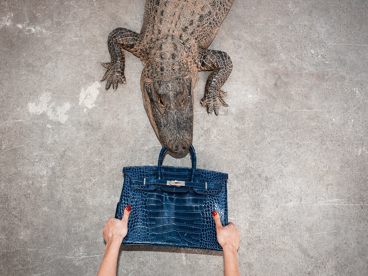 Gator Birkin Hands