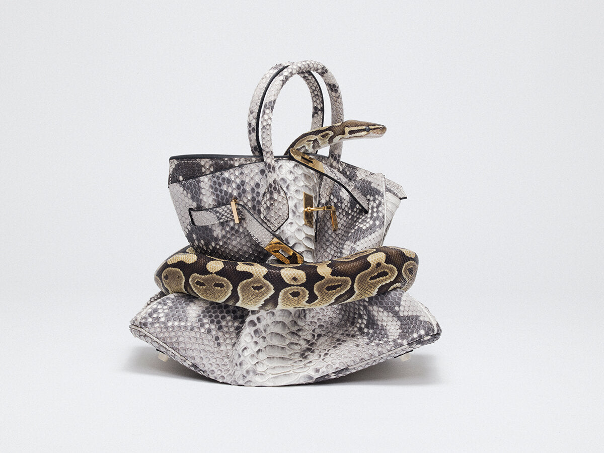 Python Birkin