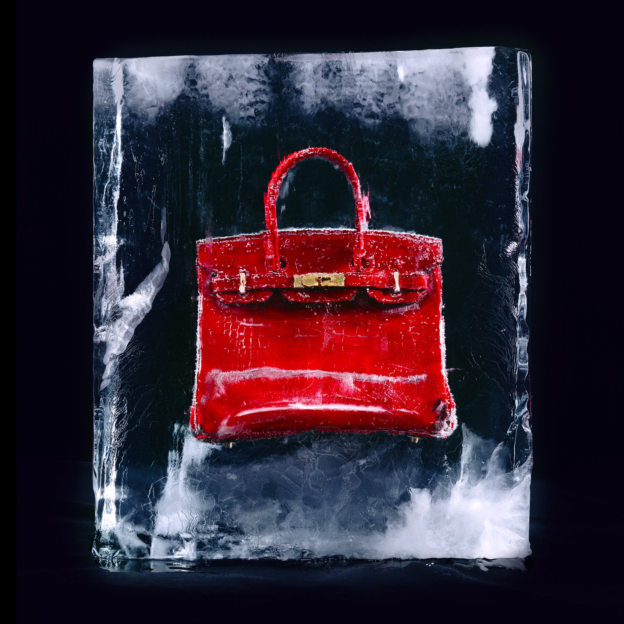 Ice Birkin