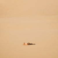 The Girl in the Desert