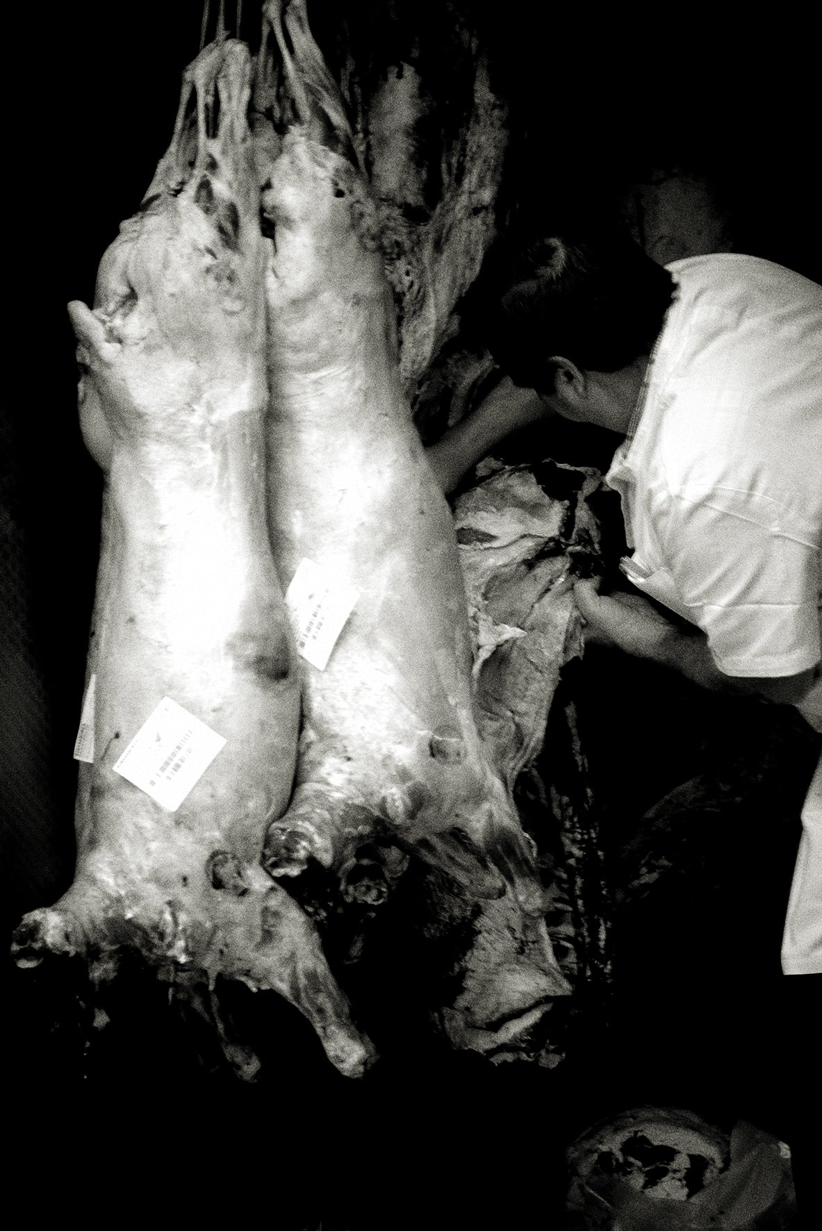 Butcher, Lisbon