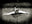 Strange Banana, New York by Andreas H. Bitesnich, limited edition photography