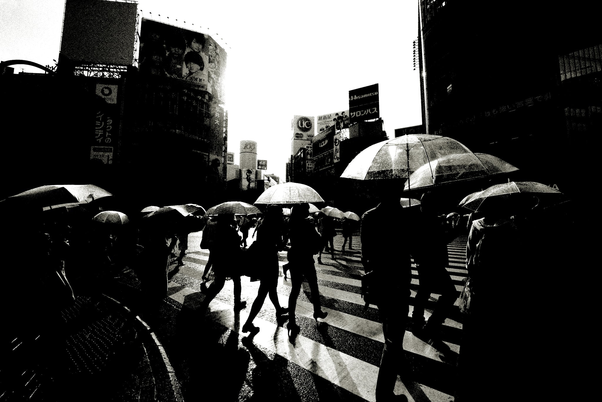 Shibuya Crossing, Tokyo