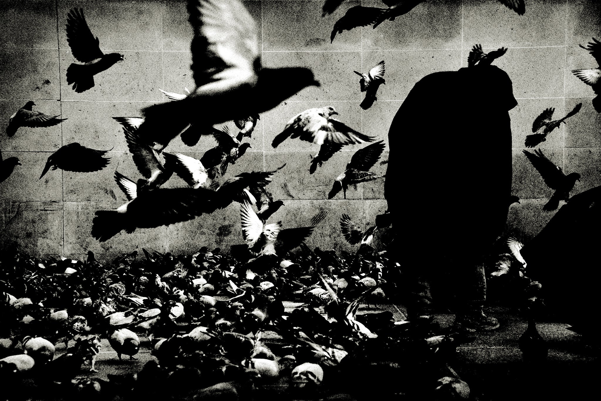The Birds, Paris by Andreas H. Bitesnich, limited edition photography