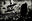 The Birds, Paris by Andreas H. Bitesnich, limited edition photography