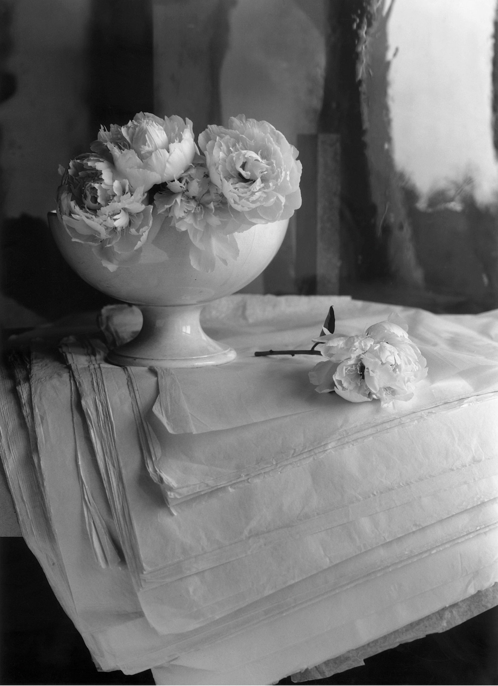 Pivoines, Atelier