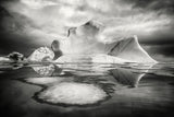 Iceberg XIX - Arctic 2008 (ref. T3Z7763)