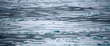 Bear II - Arctic 2008 (ref. T3Z9190)