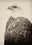 Royal Eagle by Sebastian Copeland, limited edition photography