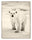 Bear One (B&W) by Sebastian Copeland, limited edition photography