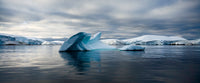 Iceberg XXXI - Antarctica 2006 (ref. MG_2095)