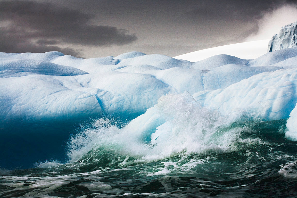 Bear One (B&W) by Sebastian Copeland, limited edition photography