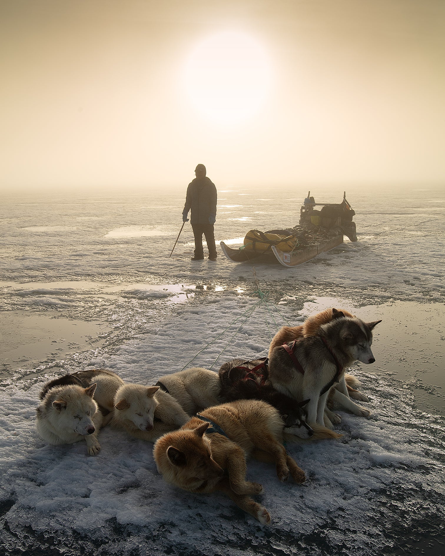 Mahiautsiaq with Dogs, Greenland 2024