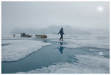Mahu with Dogs - Greenland 2024 (ref.A9A5888)