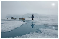 Mahu with Dogs - Greenland 2024 (ref.A9A5888)