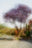 LA #2 by Jacob Gils, limited edition photography