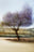 LA #3 by Jacob Gils, limited edition photography