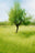 Andratx #1 by Jacob Gils, limited edition photography