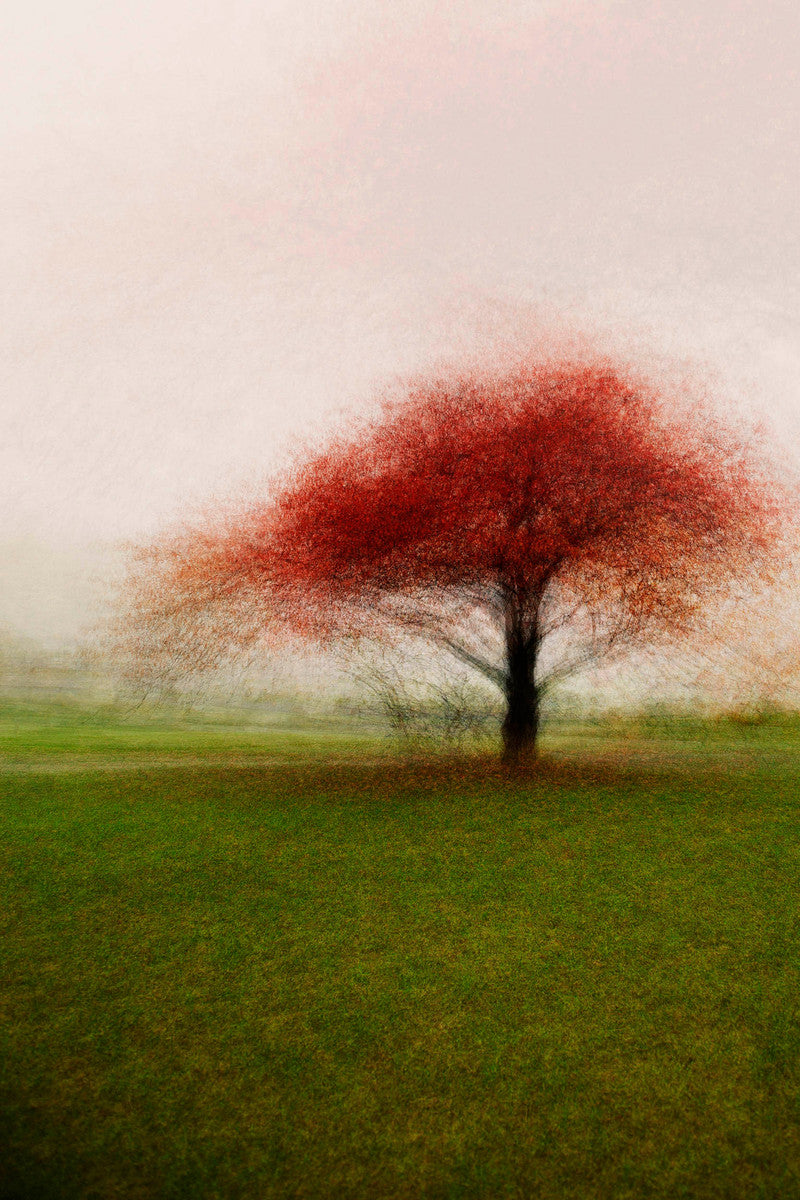 Frederiksdal #1 by Jacob Gils, limited edition photography