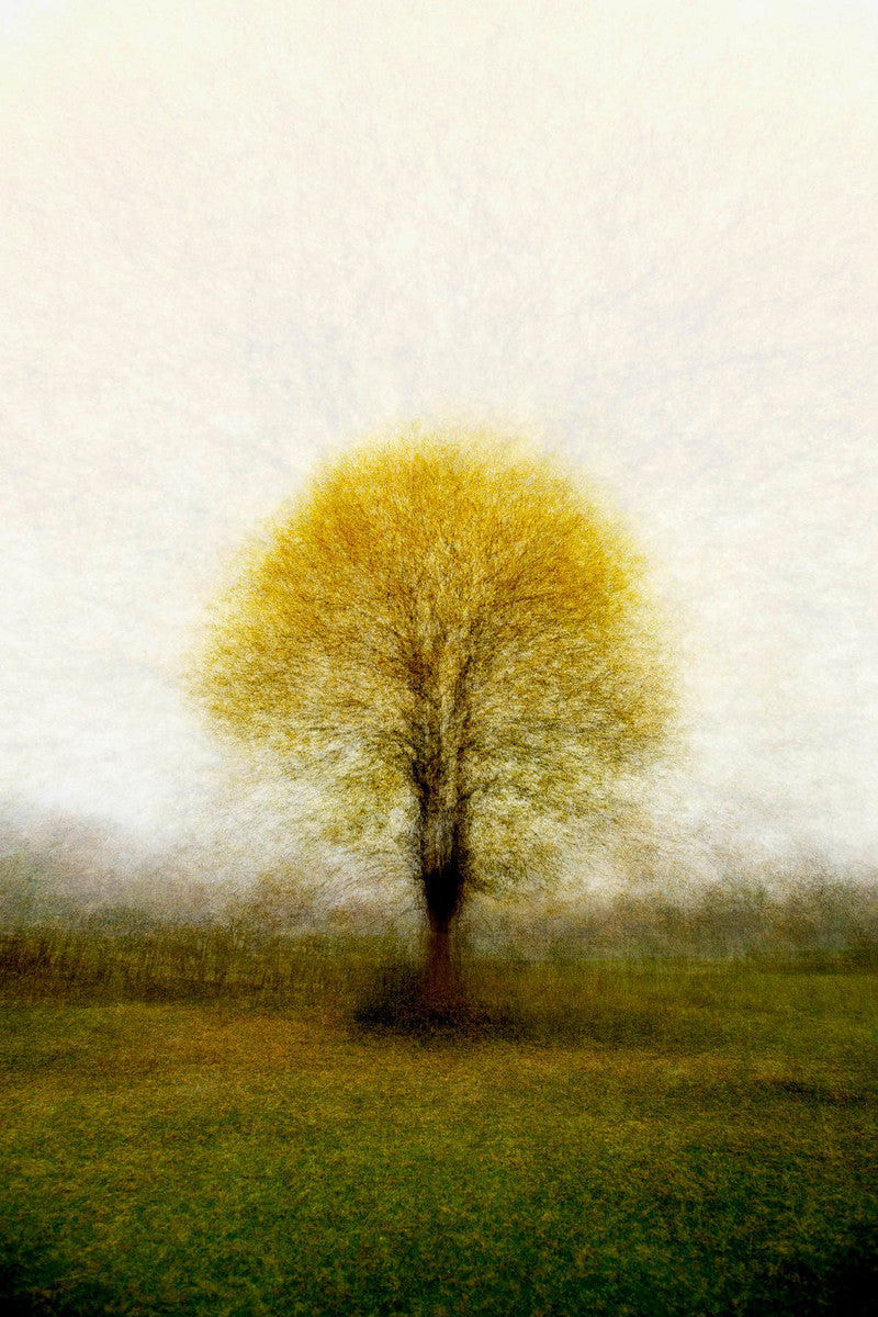Frederiksdal #2 by Jacob Gils, limited edition photography