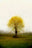 Frederiksdal #2 by Jacob Gils, limited edition photography