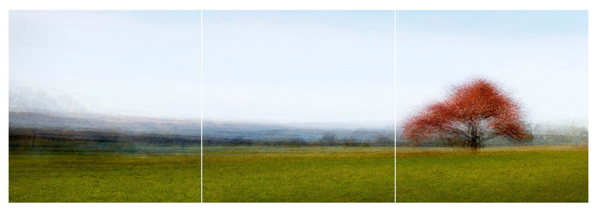 Frederiksdal #9 by Jacob Gils, limited edition photography