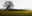 Tranekaer #3 by Jacob Gils, limited edition photography