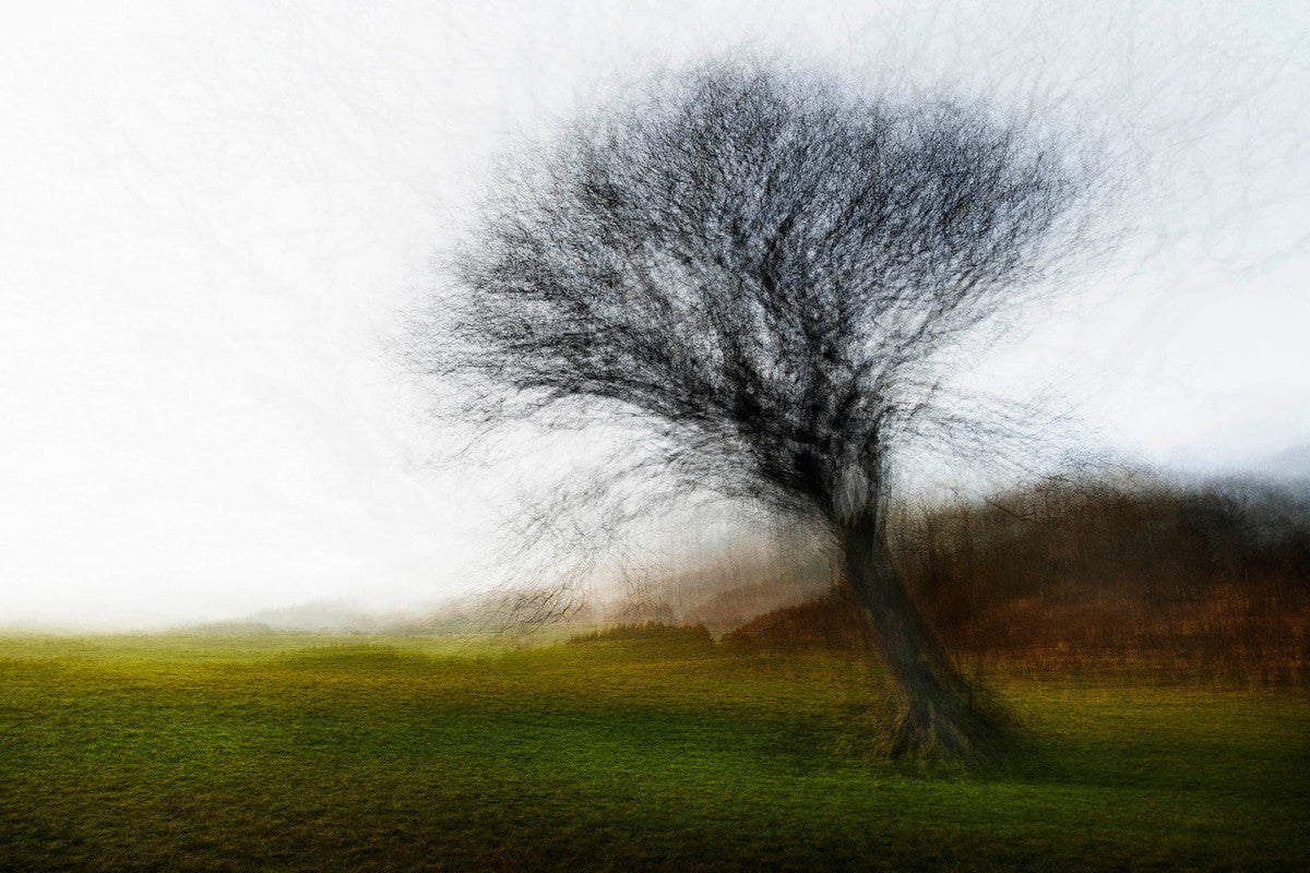 Tranekaer #6 by Jacob Gils, limited edition photography