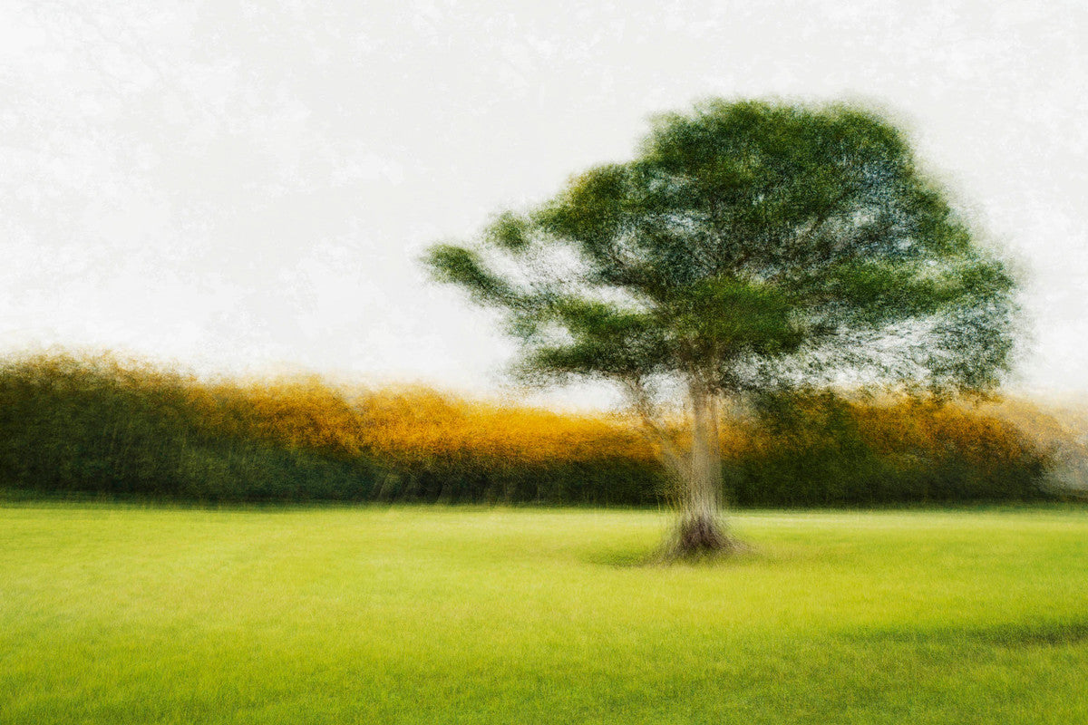 Tranekaer #7 by Jacob Gils, limited edition photography