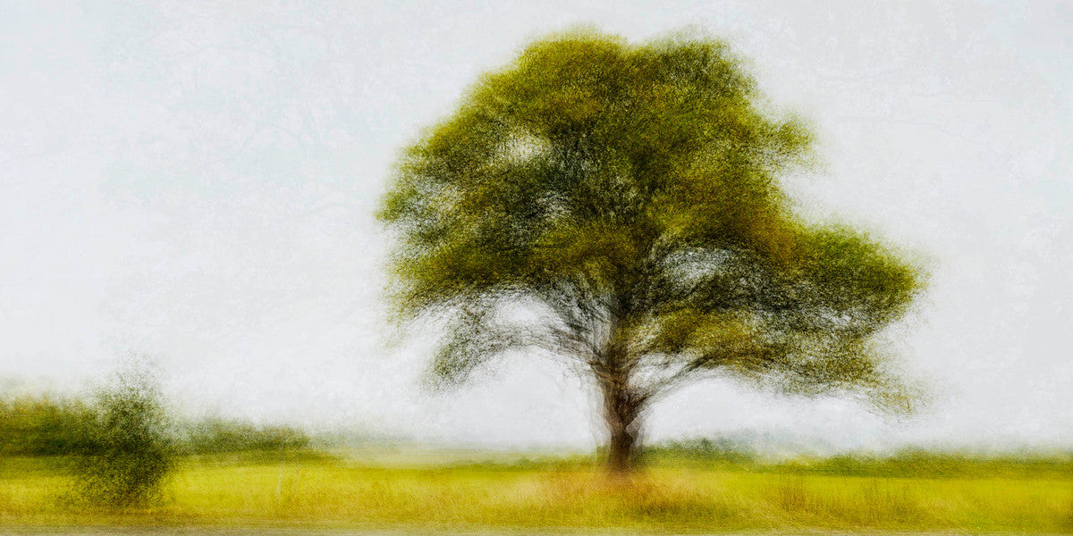 Groennegade #1 by Jacob Gils, limited edition photography