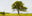 Groennegade #1 by Jacob Gils, limited edition photography