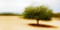 Sant Elm #3