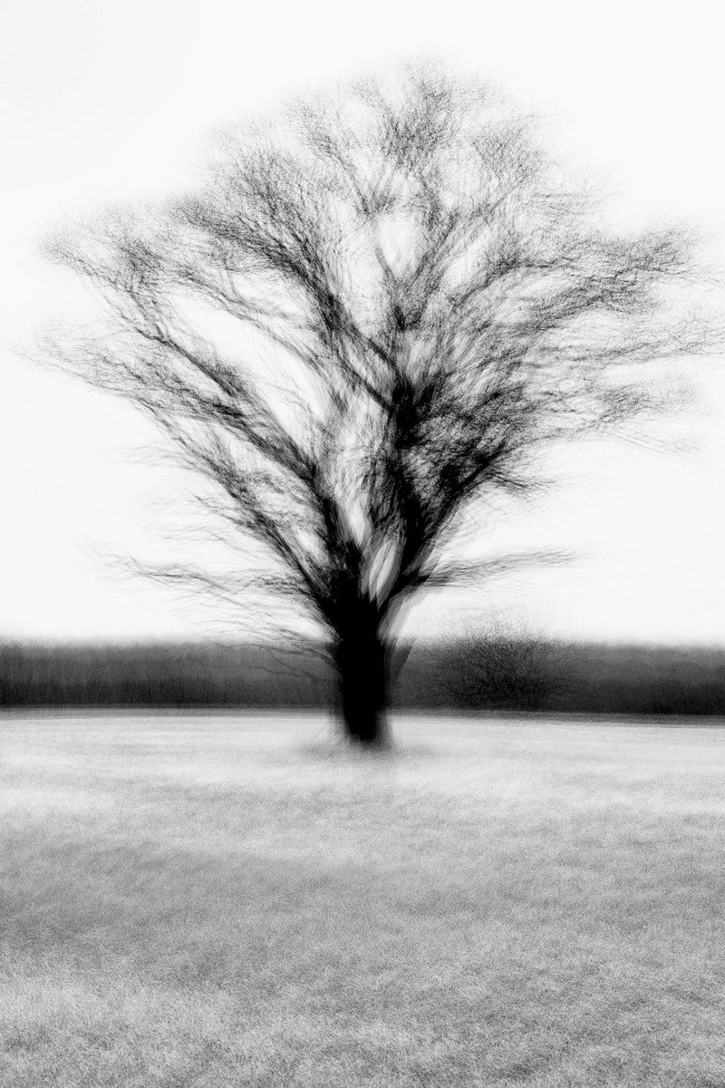Borup #1 by Jacob Gils, limited edition photography