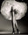 Round the clock (variant) by Horst P. Horst , limited edition photography